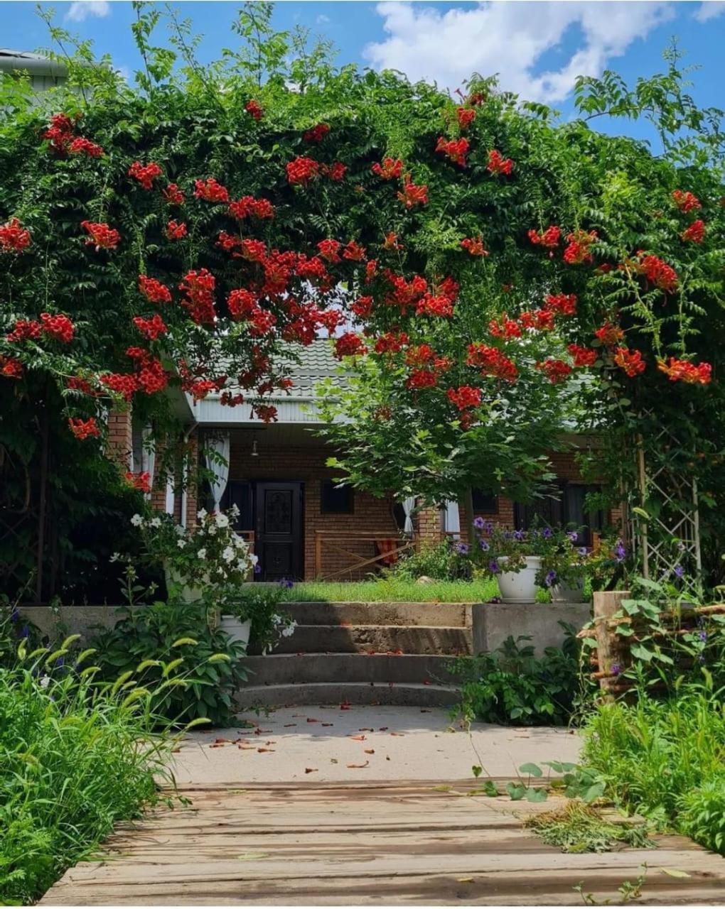 Arman Saryaghash Exterior foto